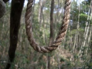 Лес самоубийц. Аокигахара