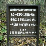 Лес самоубийц. Аокигахара